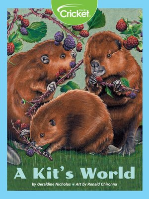 cover image of A Kit's World